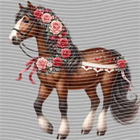 Valentine's Day-QRJ  5860